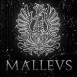 Malleus