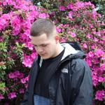 Suicideyear