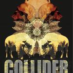 Collider