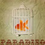 Paradisio