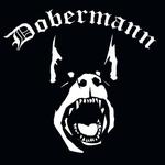 Dobermann