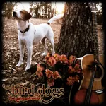 The Bird Dogs