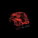Red Tail Hawk