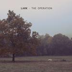Lark