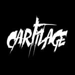 Cartilage