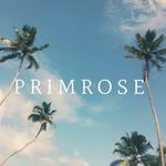 Primrose