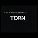 Torn