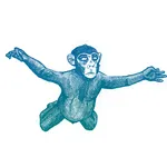 Macaco Bong
