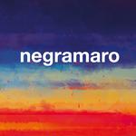 Negramaro