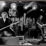 The Stranglers