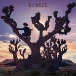 DJ Koze