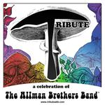 Tribute - a celebration of The Allman Brothers Band