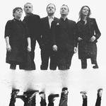 Casey Neill and the Norway Rats