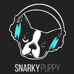 Snarky Puppy