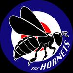 The Hornets