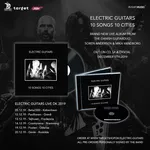 Electric Guitars