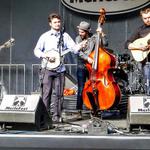 Frankfort Bluegrass on the Green Festival 2024