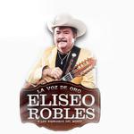 Eliseo Robles