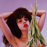 Affiche Sonya Hibiscus