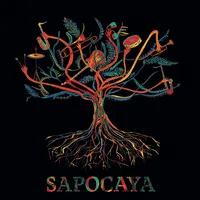 Affiche Sapocaya Collectif X Aline Paes