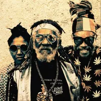 Affiche McAnuff Family & The Ligerians [La Boule Noire]