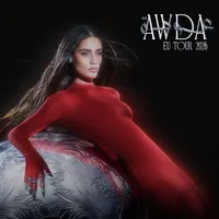 Affiche AWDA Tour