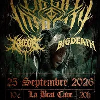 Affiche Down to Insanity