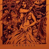Affiche Amygdala