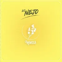 Affiche DJ Nejo