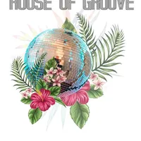 Affiche House of Groove