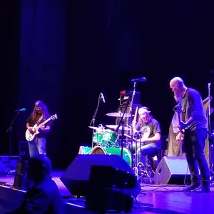 concert photo