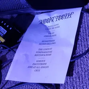 concert photo
