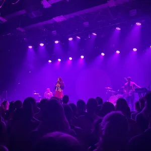 concert photo