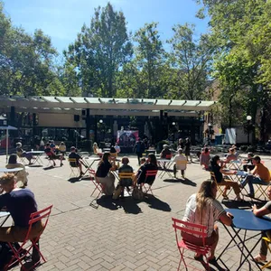 concert photo