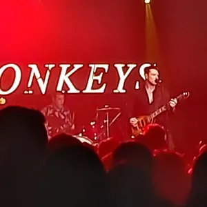 concert photo