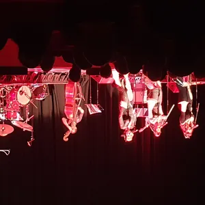 concert photo