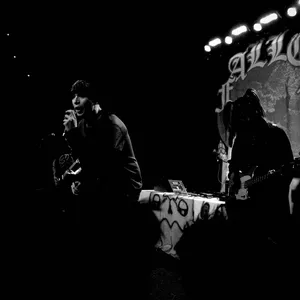 concert photo
