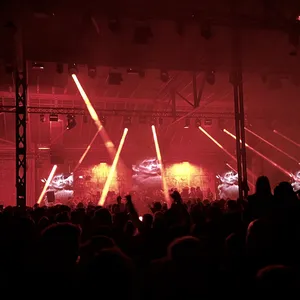 concert photo