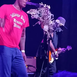 concert photo