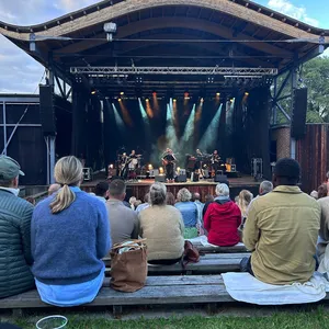 concert photo
