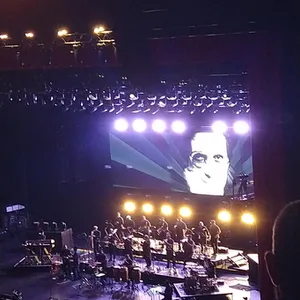 concert photo