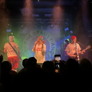concert photo