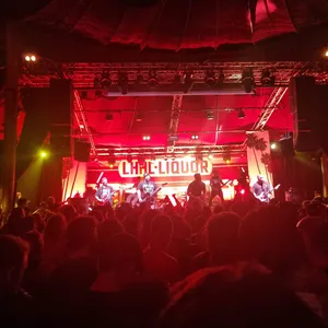 concert photo