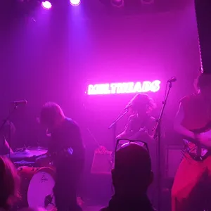 concert photo