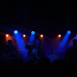 concert photo