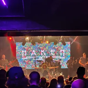 concert photo