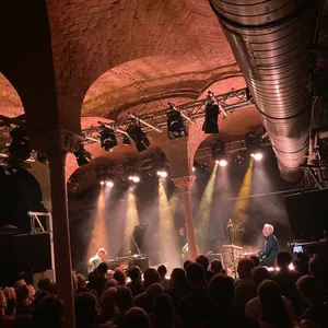 concert photo