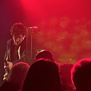 concert photo