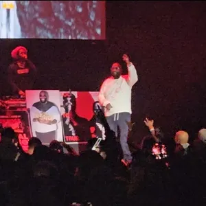 concert photo