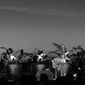 concert photo